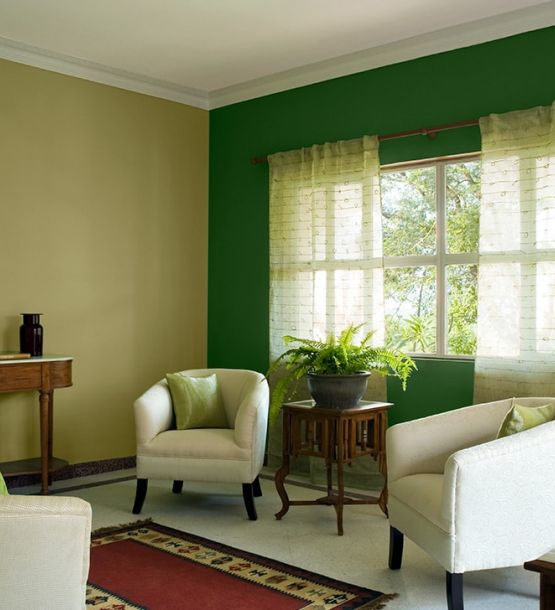 Asian Paints Interior Living Room Colour Combinations colour combinations made easy Asian Paints Interior Living Room Colour Combinations colour combinations made easy